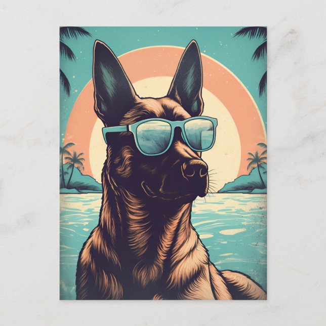 Carte Postale Malinois belge à la plage tropicale au coucher du  (Devant)
