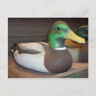 Carte Postale Mallard Decoy