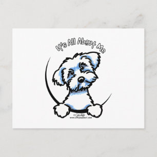 Carte Postale Maltais C'Est Tout Pour Moi