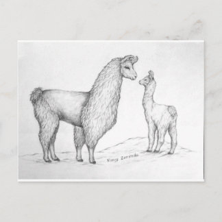 Carte Postale Mama Llama et Cria