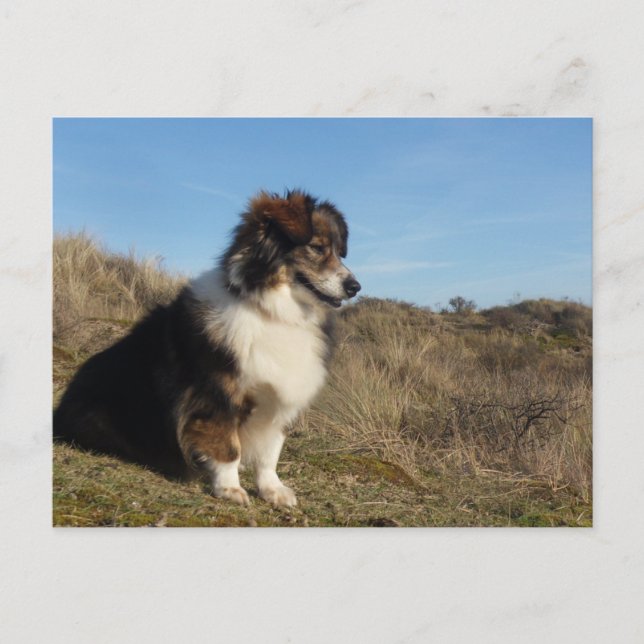 Carte Postale Maman (Devant)