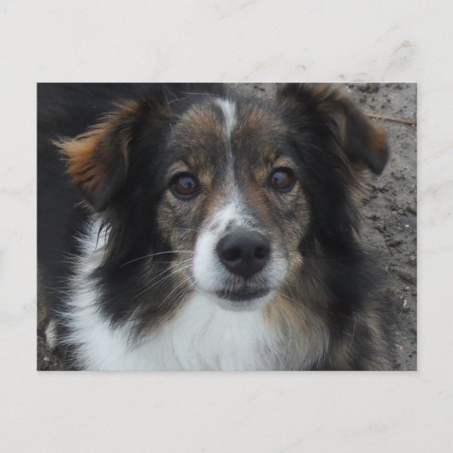 Carte Postale Maman (Devant)