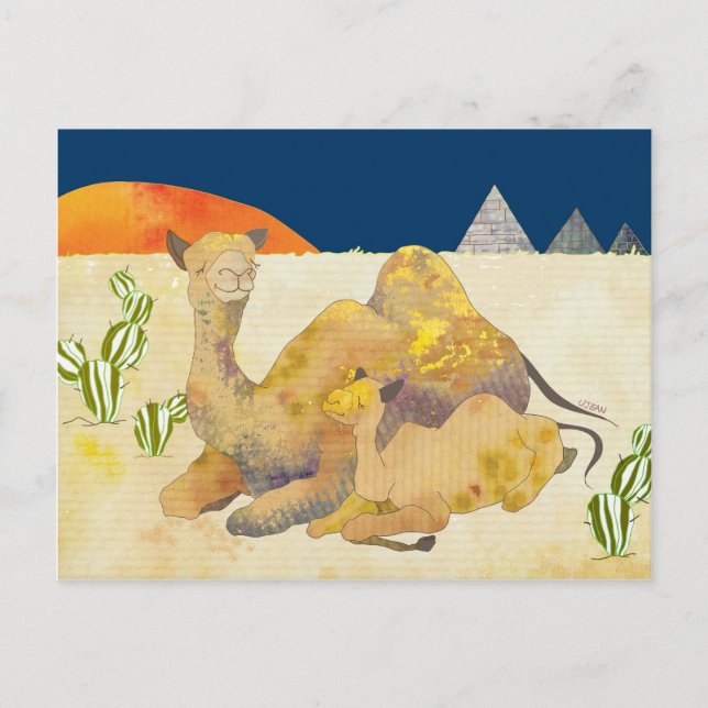 Carte Postale Maman et Baby Camels (Devant)