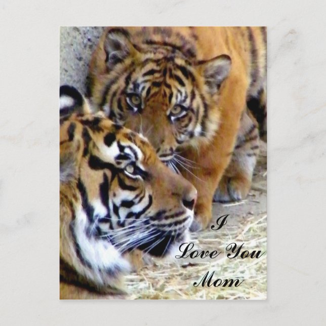 Carte Postale Maman, je t'aime maman. (Devant)