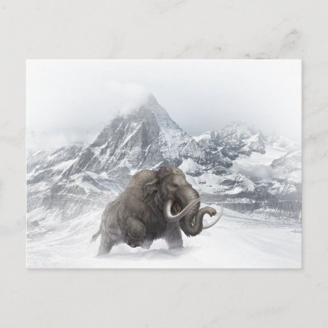 Carte Postale Mammifère laineux Période de glace animale préhist (Devant)
