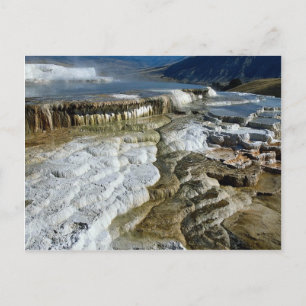 Carte Postale Mammoth Hot Springs, Parc national de Yellowstone,