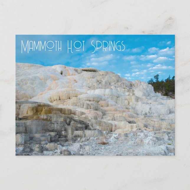 Carte Postale Mammoth Hot Springs Parc national de Yellowstone (Devant)