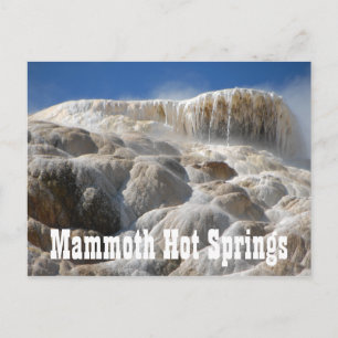 Carte Postale Mammoth Hot Springs, parc national Yellowstone