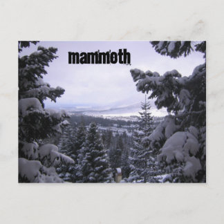 Carte Postale Mammoth Mountain
