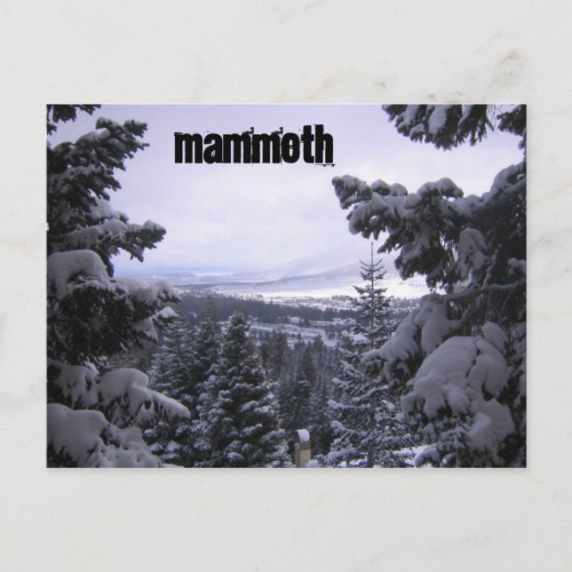 Carte Postale Mammoth Mountain (Devant)