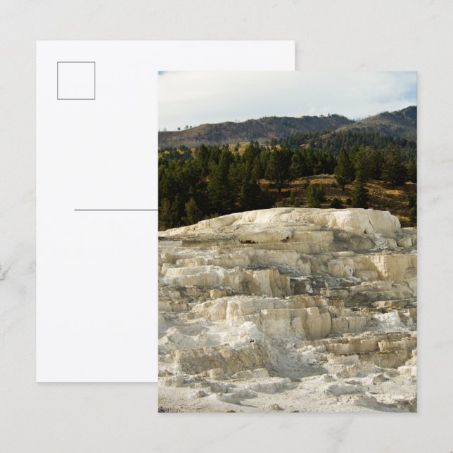 Carte Postale Mammoth Steps 2008 (Devant / Derrière)