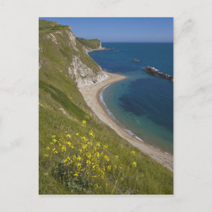 Carte Postale Man o War Bay, Jurassic Coast, Lulworth, Dorset,