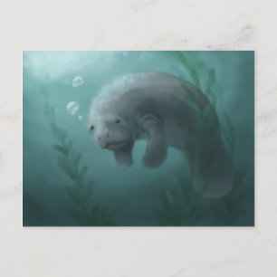 Carte postale Manatee