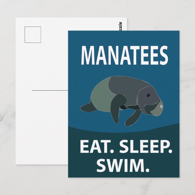 Carte Postale Manatee Vache de mer Manatee (Devant / Derrière)