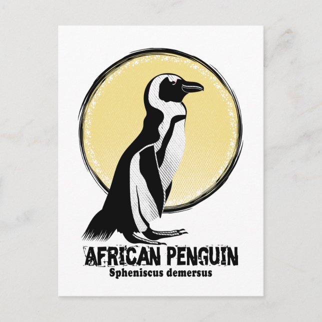 Carte Postale Manchot africain (Devant)