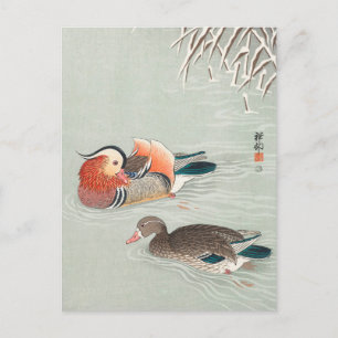 Carte Postale Mandarin Canards Peinture par Ohara Koson