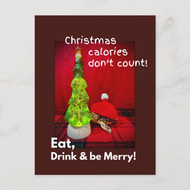 Carte Postale Mangez boire et soyez joyeux bébé sulcata tortue (Devant)