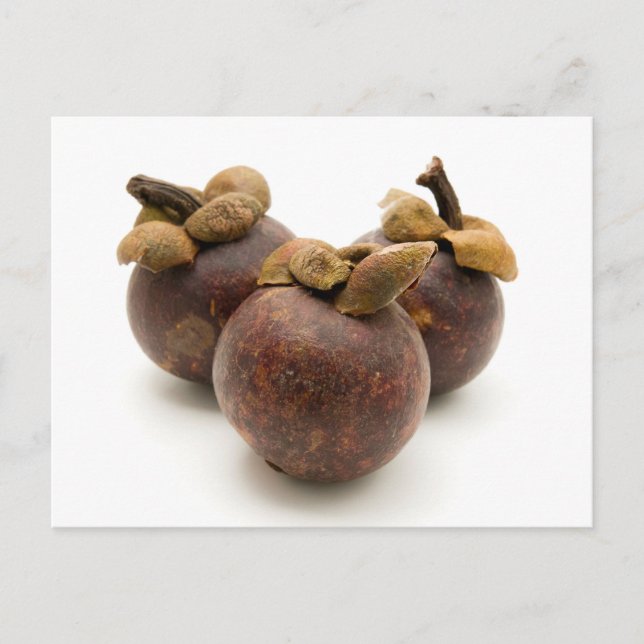 Carte Postale Mangosteen violet (Devant)