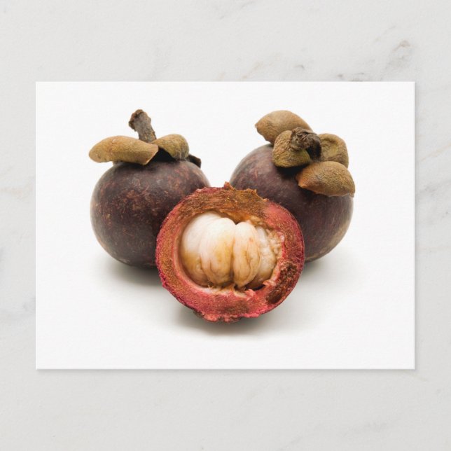 Carte Postale Mangosteen violet (Devant)
