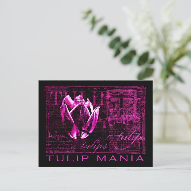 Carte Postale Manie des tulipes (Debout devant)