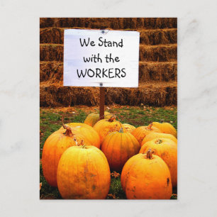 Carte Postale Manifestation citrouille - Sans emploi