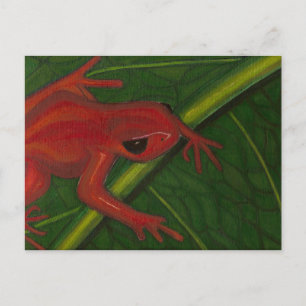 Carte Postale Manny La Mantella (Grenouille)