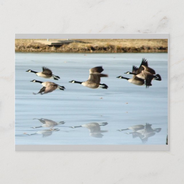 Carte postale manquante (Devant)