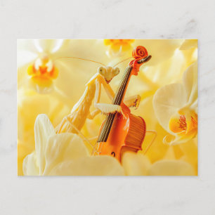 Carte Postale Mante religieuse photoréaliste jouant du violoncel