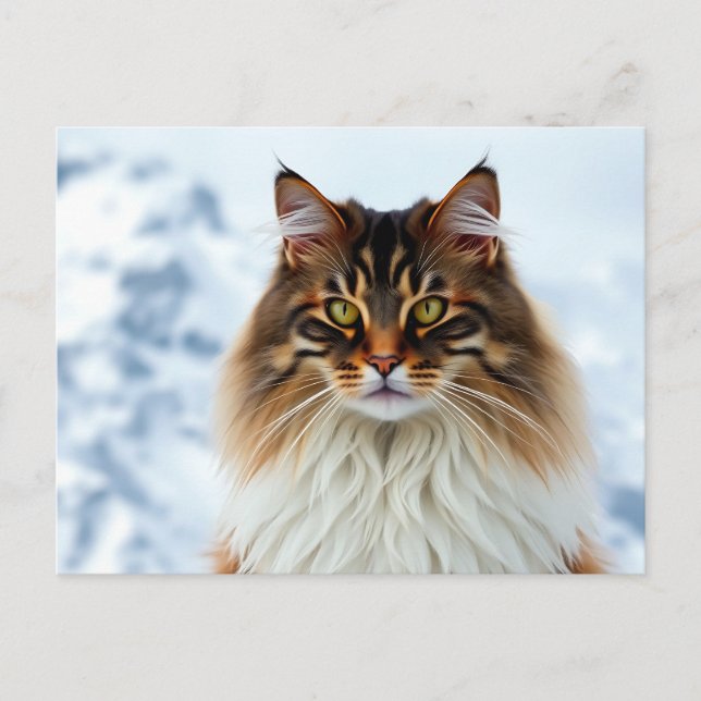 Carte Postale Manteau de Maine Coon dans un portrait sauvage de  (Devant)