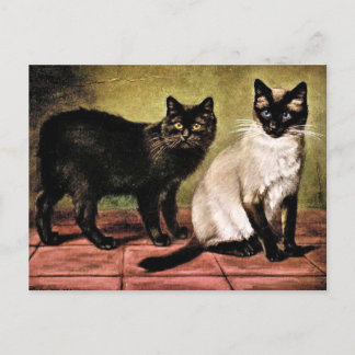 Carte Postale Manteau noir et chat royal de Siamese