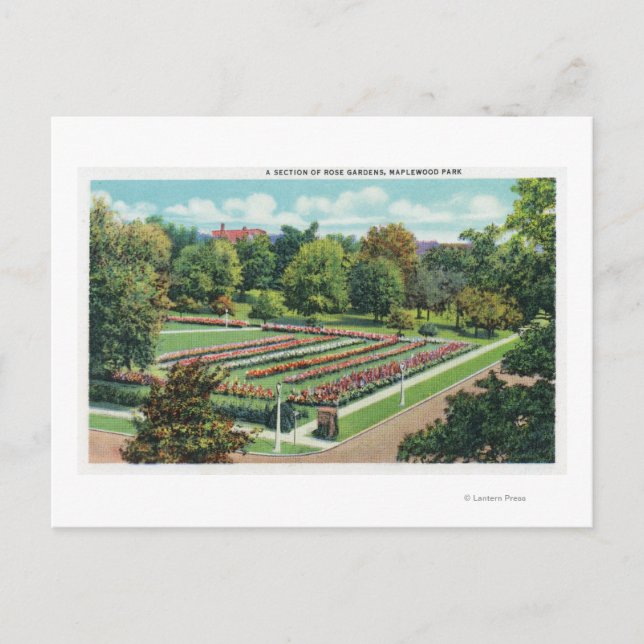 Carte Postale Maplewood Park Rose Garden View (Devant)