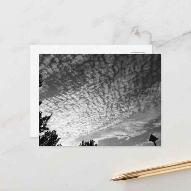Carte Postale Maquereau Sky : Noir et Blanc (Devant/Arrière en situation)