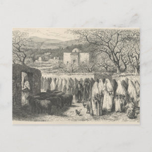 Carte Postale Marabout et procession : Tlemcen