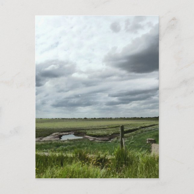 Carte Postale Marais (Devant)