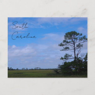 Carte Postale Marais de l'île de Chasse