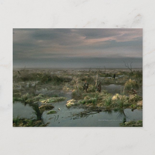 Carte Postale Marais morts (Devant)