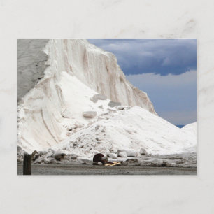 Carte Postale Marais salants, baie de Corio, Geelong