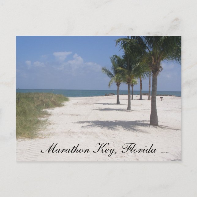 Carte Postale Marathon Key, Floride (Devant)