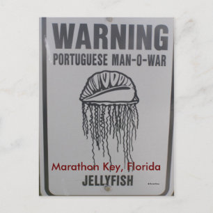 Carte Postale Marathon Key, Floride