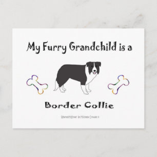 Carte Postale march112015BorderCollie.jpg
