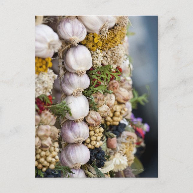 Carte Postale Marché à Wroclaw, Pologne (Devant)