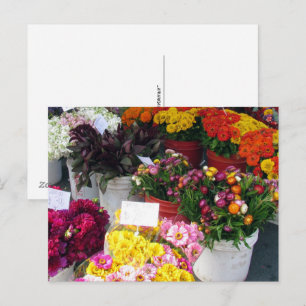 Carte postale – Marché aux fleurs