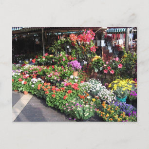 Carte Postale Marché Aux Fleurs À Nice En France