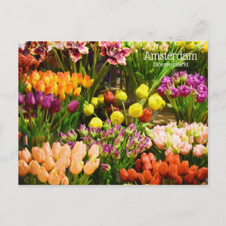 Carte Postale Marché aux fleurs d'Amsterdam