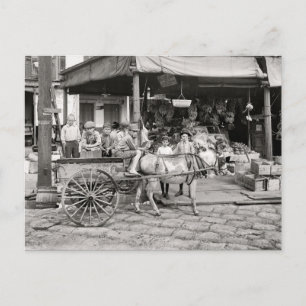 Carte Postale Marché du Vieux Quartier Français