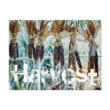 Marché fermier de la saison des récoltes