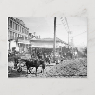 Carte Postale Marché français à la Nouvelle-Orléans, 1906