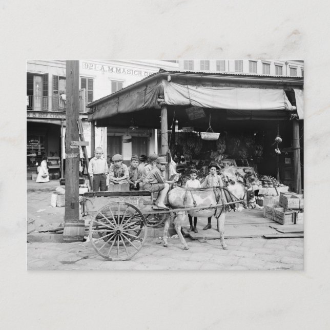 Carte Postale Marché français, Nouvelle-Orléans, 1910 (Devant)