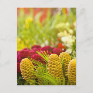 Carte Postale Marché hebdomadaire de fruits et légumes du vendre