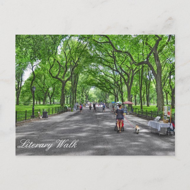 Carte Postale Marche littéraire - Central Park, New York (Devant)